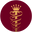 dralstone logo